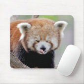 Tapis De Souris Mouse Pad Photo red panda , animals 0393. (Avec souris)