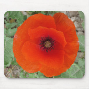 Tapis De Souris Mouse PAD. Poppy (Coquelicot)