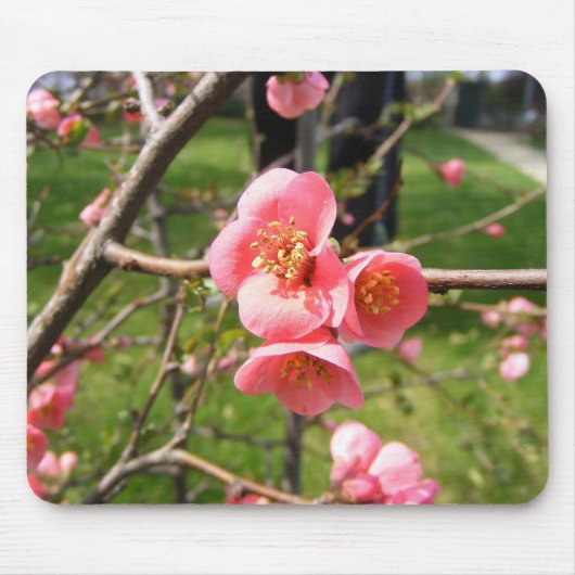 Tapis De Souris Mouse pad with flowers (Devant)