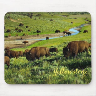 Tapis De Souris Mouse Pad-Yellowstone Buffalo
