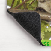 TAPIS DE SOURIS MOUSE POUNCER (Coin)