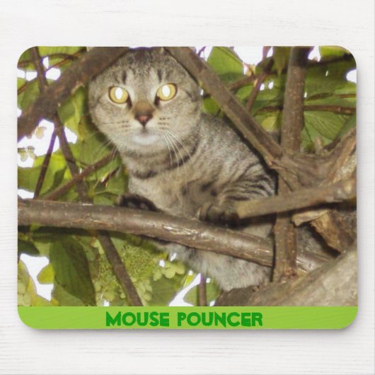 TAPIS DE SOURIS MOUSE POUNCER (Devant)