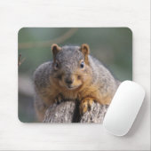 Tapis De Souris Mousepac à écureuil (Avec souris)