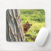 Tapis De Souris Mousepac à écureuil (Avec souris)