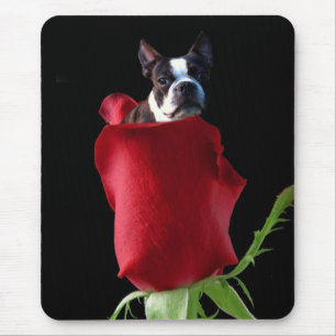 Tapis De Souris Mousepac de Boston