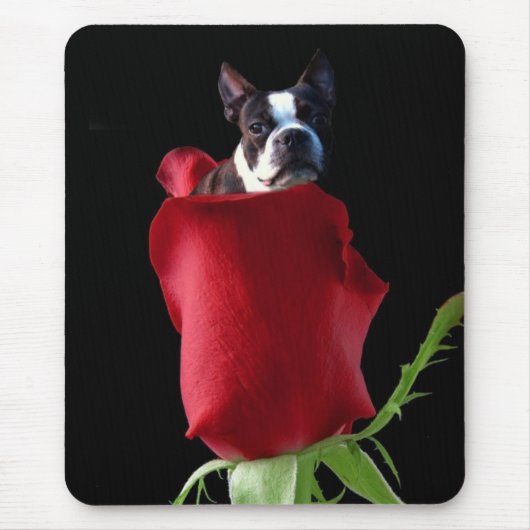 Tapis De Souris Mousepac de la rose rouge (Devant)