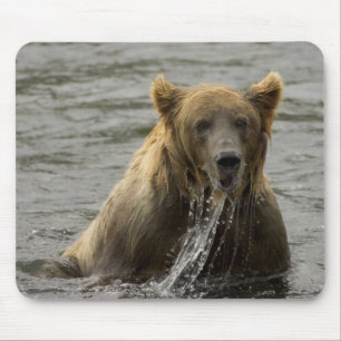 Tapis De Souris Mousepac de pêche à l'ours Brown