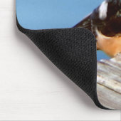 Tapis De Souris Mousepac d'hirondelle (Coin)