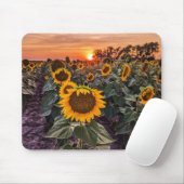 Tapis De Souris Mousepad (Avec souris)