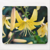 Tapis De Souris Mousepad (Devant)