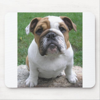 Tapis De Souris mousepad