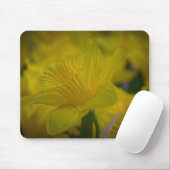 Tapis De Souris Mousepad (Avec souris)