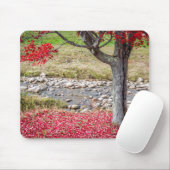 Tapis De Souris Mousepad (Avec souris)
