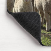 Tapis De Souris Mousepad (Coin)