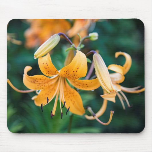 Tapis De Souris Mousepad (Devant)