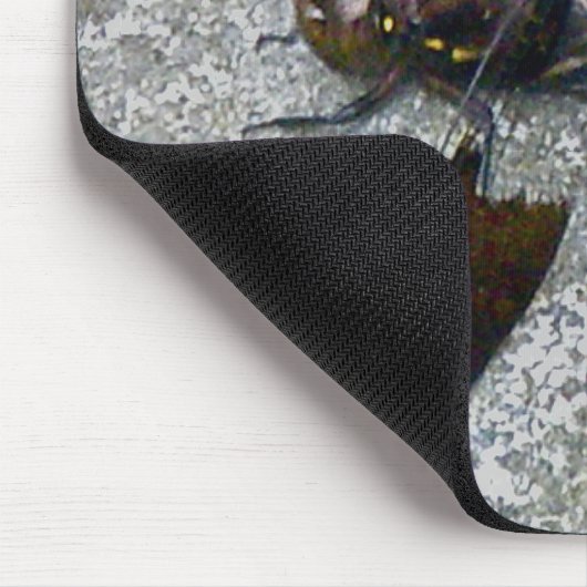 Tapis De Souris Mousepad (Coin)