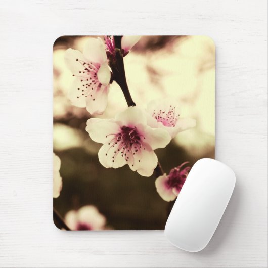 Tapis De Souris Mousepad (Avec souris)