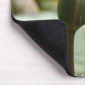 Tapis De Souris Mousepad (Coin)