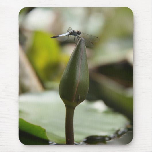 Tapis De Souris Mousepad (Devant)