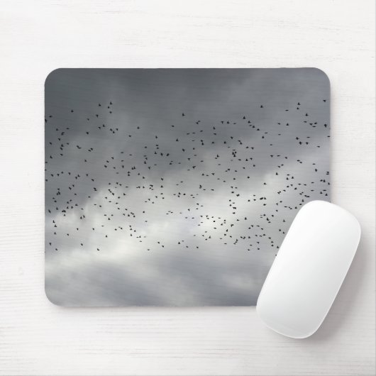 Tapis De Souris Mousepad (Avec souris)