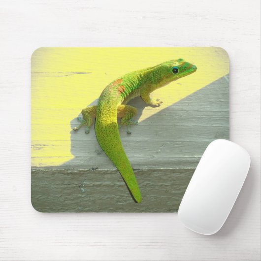 Tapis De Souris Mousepad (Avec souris)