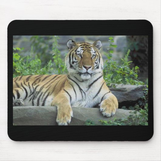 Tapis De Souris Mousepad (Devant)