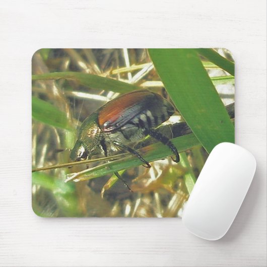 Tapis De Souris Mousepad (Avec souris)
