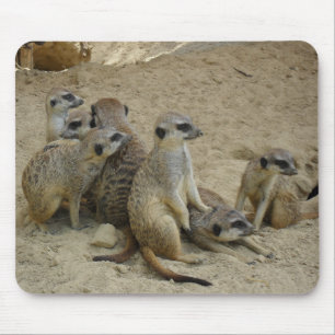 Tapis De Souris Mousepad