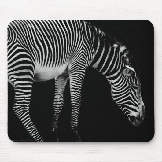 Tapis De Souris Mousepad (Devant)