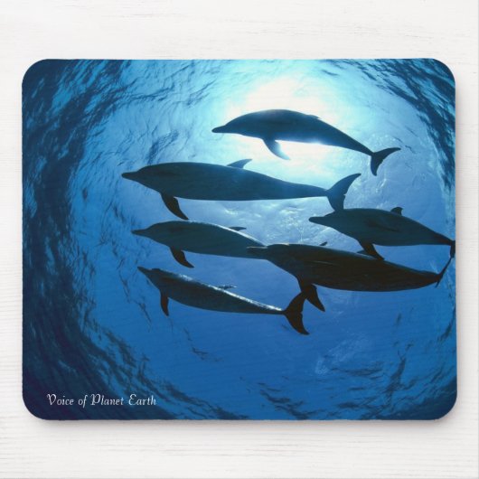 Tapis De Souris Mousepad 14 - Dauphins (Devant)