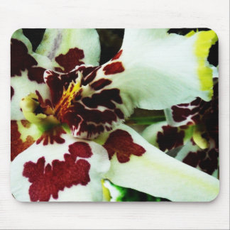 Tapis De Souris Mousepad 9