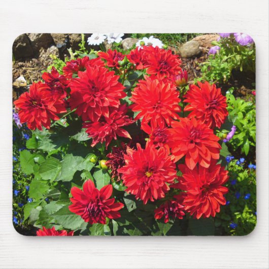 Tapis De Souris Mousepad à fleurs de Dahlia rouge (Devant)