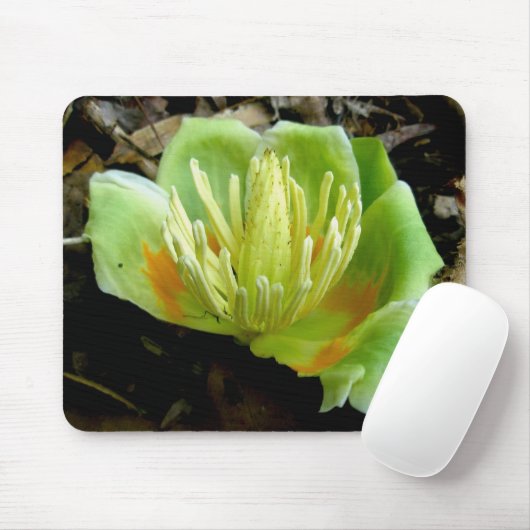 Tapis De Souris Mousepad à fleurs de peuplier tulipe (Avec souris)