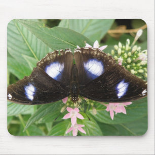 Tapis De Souris Mousepad à papillon tacheté bleu