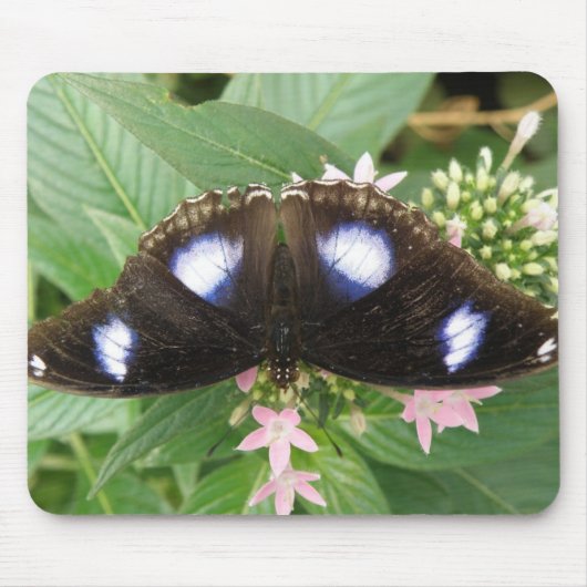 Tapis De Souris Mousepad à papillon tacheté bleu (Devant)