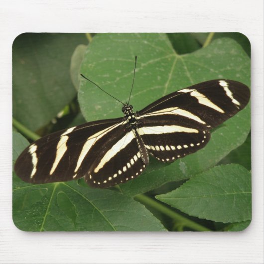 Tapis De Souris Mousepad à papillon zébrée (Devant)