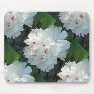 Tapis De Souris Mousepad à poitrine multiple