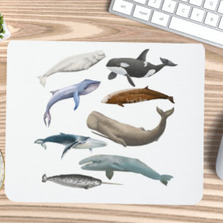 Tapis De Souris Mousepad à thème baleine