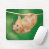 Tapis De Souris Mousepad adorable de hamster (Avec souris)