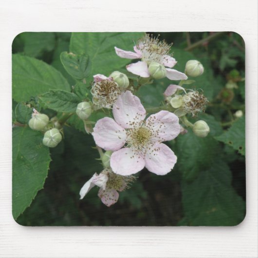 Tapis De Souris Mousepad aux fleurs de Blackberry (Devant)