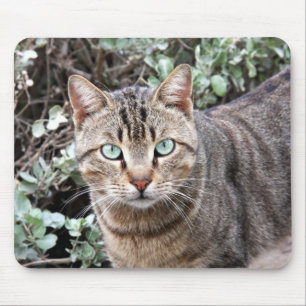 Tapis De Souris Mousepad aux yeux verts de chat tigré