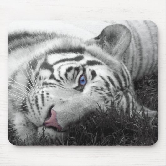 Tapis De Souris Mousepad blanc de tigre (Devant)