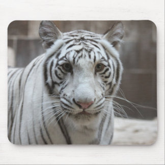 Tapis De Souris Mousepad blanc de tigre