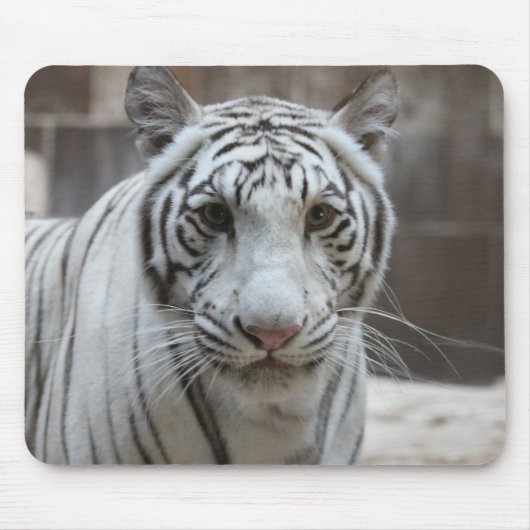 Tapis De Souris Mousepad blanc de tigre (Devant)