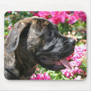 Tapis De Souris Mousepad Brindle de chiot de mastiff
