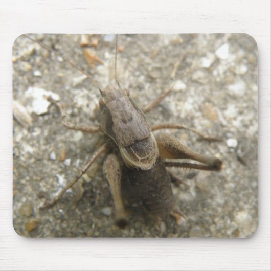 Tapis De Souris Mousepad Brown (Devant)