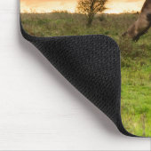 Tapis De Souris Mousepad caracolant de chevaux (Coin)