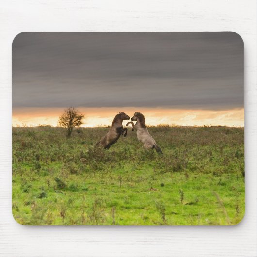 Tapis De Souris Mousepad caracolant de chevaux (Devant)