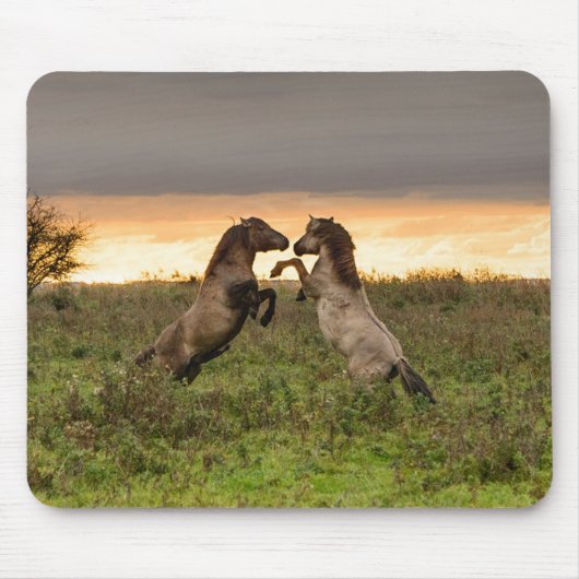 Tapis De Souris Mousepad caracolant de chevaux sauvages (Devant)