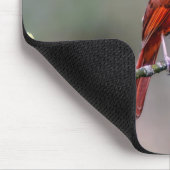 Tapis De Souris Mousepad cardinal (Coin)